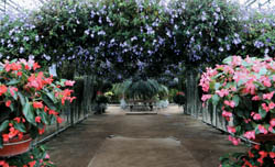 20110414143710_1_spring_tra23_VuOX7wSH_QHmJms6YjM2U.jpg